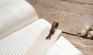 乞力马扎罗的雪名句 乞力马扎罗的雪名句香蕉鱼