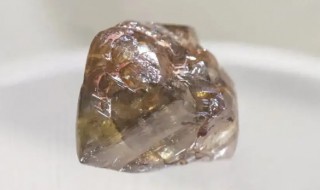 本身的元素与金刚石一样的矿物质是 本身的元素与金刚石一样的矿物质是水霉菌
