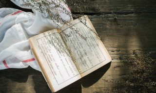 急求蜀道难琵琶行的常考名句（《琵琶行》常考句子）