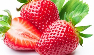 草莓常温能放多久（草莓常温的环境下能保存多久）