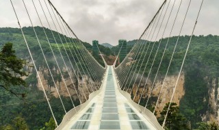 世界上最大的吊桥是哪一个 中国最大的吊桥