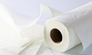 纸巾什么时候发明的 纸巾是什么时候诞生的