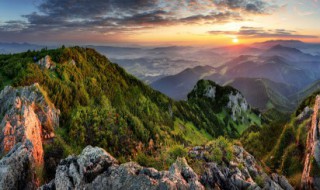 龙虎山和庐山哪个更好玩（庐山好玩还是武当山好玩）