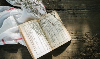邑八景之一也中的之什么意思（都邑之胜境的意思）