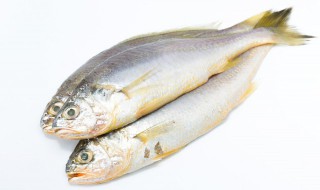 怎样炖鱼吃起来又嫩又爽滑 怎样炖鱼吃着鲜嫩