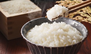 米饭在冰箱里可以放多久 米饭放入冰箱能放多久