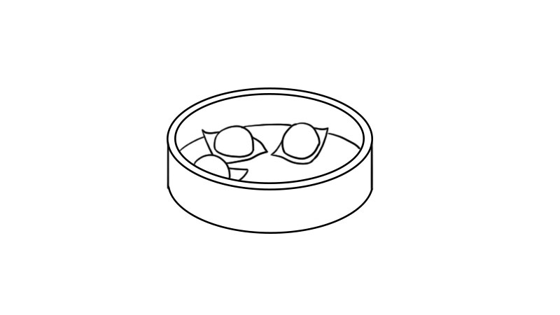 寒食节青团简笔画