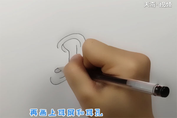 耳朵简笔画