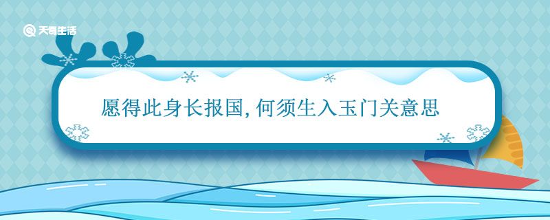 愿得此身长报国何须生入玉门关意思