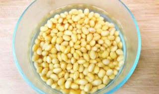 干的黄豆要怎么保存需要放冰箱吗 干黄豆在冰箱冷藏能保存多长时间