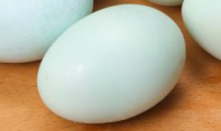 鸟蛋怎么煮（鸟蛋怎么煮熟）