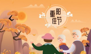 重阳节的民族文化含义（重阳节的传统文化是什么）