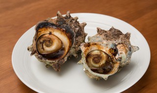 蚌和螺蛳是怎样走路的 蚌壳怎么走路