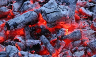 为什么木炭燃烧没有火苗 木炭有火苗吗