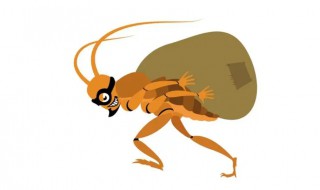 蟑螂属于什么类动物 蟑螂属于哪类动物