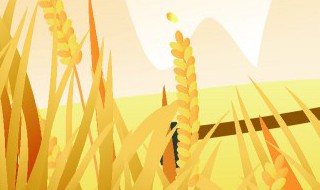 为什么气候变暖粮食减产（气候变暖对粮食生产的影响）