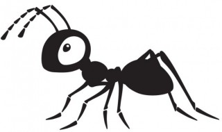 蚂蚁为什么认识寻找食物的路径（蚂蚁为什么认识寻找食物的路径呢）