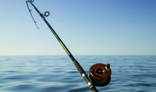 鱼子酱是什么鱼卵做的（鱼子酱不是鱼的卵吗）