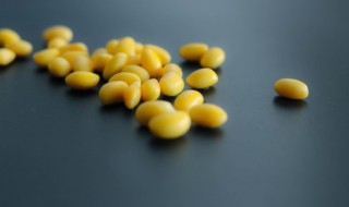 黄豆什么季节成熟（黄豆每年几月份成熟）