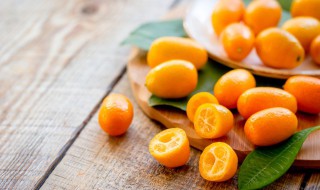 盆栽金桔喜欢什么土质（金桔适合什么土壤种植）