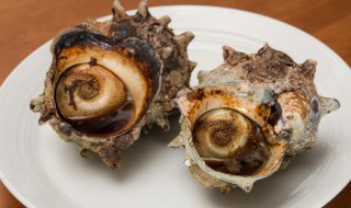 海螺开锅煮几分钟能熟 海螺水煮几分钟能熟