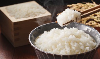 米饭在保温6小时能吃吗（米饭保温多久不能吃）