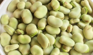 胡豆怎么做好吃（新鲜胡豆怎么做好吃）