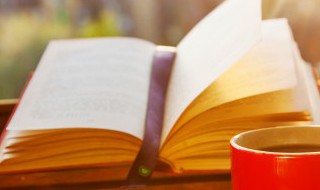 父母者人之本也什么意思（父母者人之本也全句）