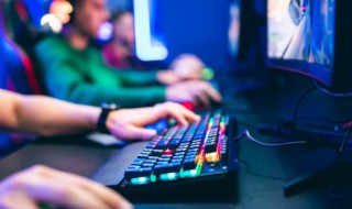 哪个网游最多人玩（什么网游最多人玩）