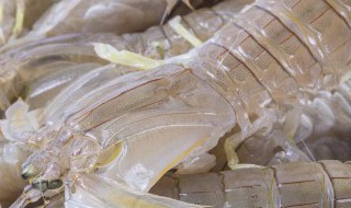 活皮皮虾怎么保存才新鲜 鲜活的皮皮虾怎么保存