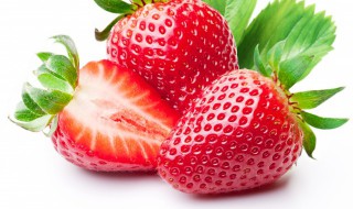 露天草莓的种植方法是什么（露天种植草莓技术要点）