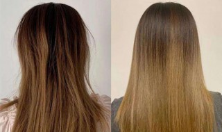 干枯发质洗护小窍门有哪些（干枯发质怎么快速改善）