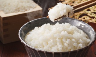 微波炉做米饭 微波炉做米饭怎么做
