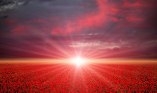 太阳王国之称是哪个国家（太阳帝国是指哪个国家）