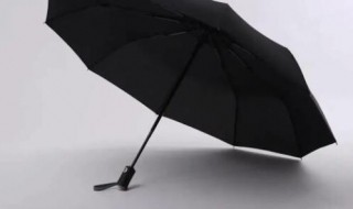 内黑胶太阳伞能淋雨吗（黑胶伞遮阳伞雨天可以用吗?）