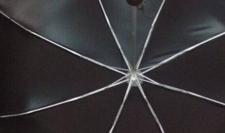 黑胶在内伞可以淋雨吗 黑胶遮阳伞可以淋雨吗