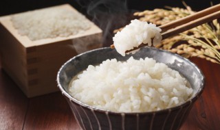 微波炉煮米饭的做法（微波炉煮米饭的方法）