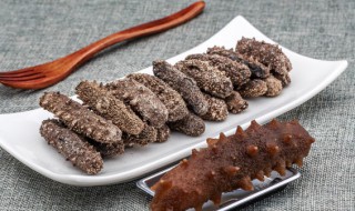 盐渍海参的发泡方法 盐渍海参的泡发方法