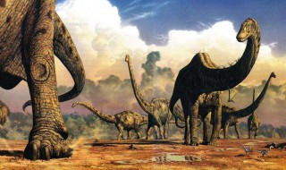 恐龙中最大的是什么恐龙（你知道最大的恐龙是什么）