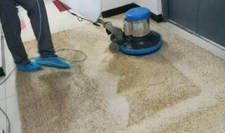 如何清洗大面积地毯 地毯小面积脏怎么清洗