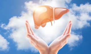 被称为罢极之本的脏是（罢极之本的脏是什么）