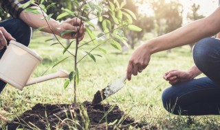 生物钟有哪些动植物 你知道哪些动植物的生物钟
