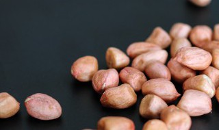 花生是不是双子叶植物 花生是单子叶植物还是双子