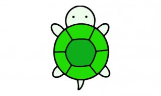 小鳄龟可以养在鱼缸里吗 鳄龟可以养在水缸里吗