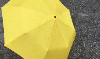 雨伞可以当太阳伞吗（太阳伞能当雨伞嘛）