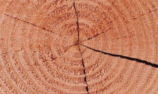 木制品怎样防止开裂 怎么防止木质开裂