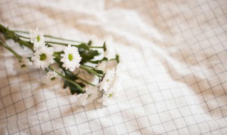 pvc桌布上的污渍怎么去除（pvc桌布上的污渍去除小妙招）