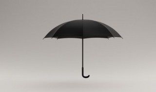 遮阳伞可以当雨伞用吗 遮阳伞可以当雨伞嘛