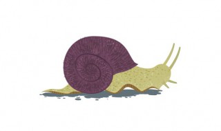 为什么蜗牛爬得慢（为什么蜗牛爬得慢 因为背上有房子类似句子）