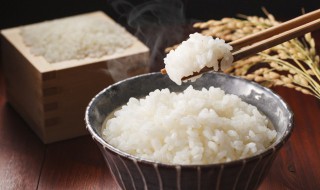 没吃完的米饭怎么保存（没有吃完的米饭怎么保存）